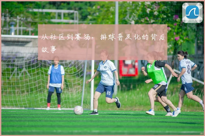 从社区到赛场，排球普及化的背后故事