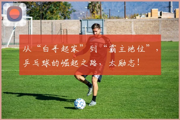 从“白手起家”到“霸主地位”,乒乓球的崛起之路,太励志!