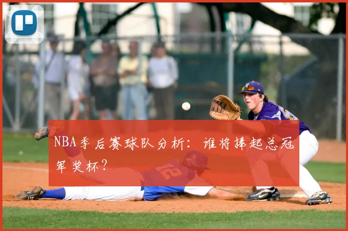 NBA季后赛球队分析：谁将捧起总冠军奖杯？
