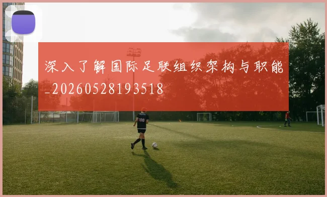 深入了解国际足联组织架构与职能_20260528193518