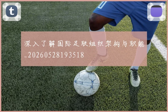深入了解国际足联组织架构与职能_20260528193518